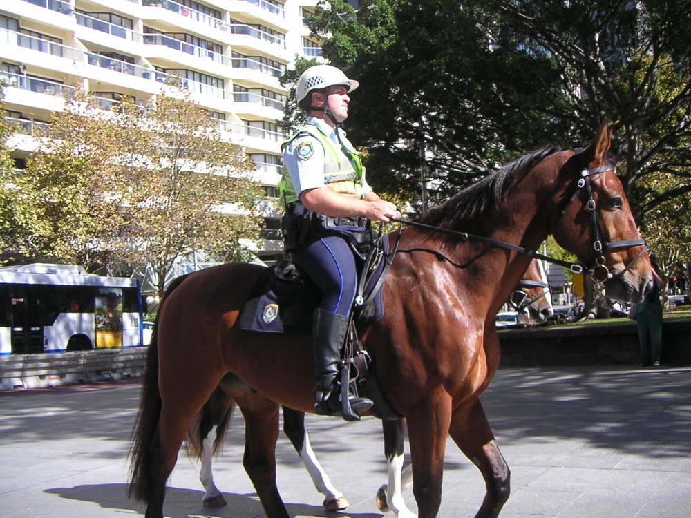 Police_on_the_horse