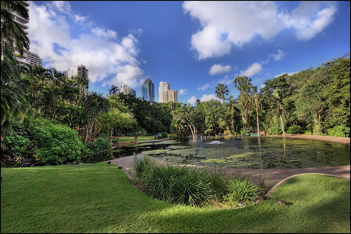 Brisbane-botanical-garden_2559